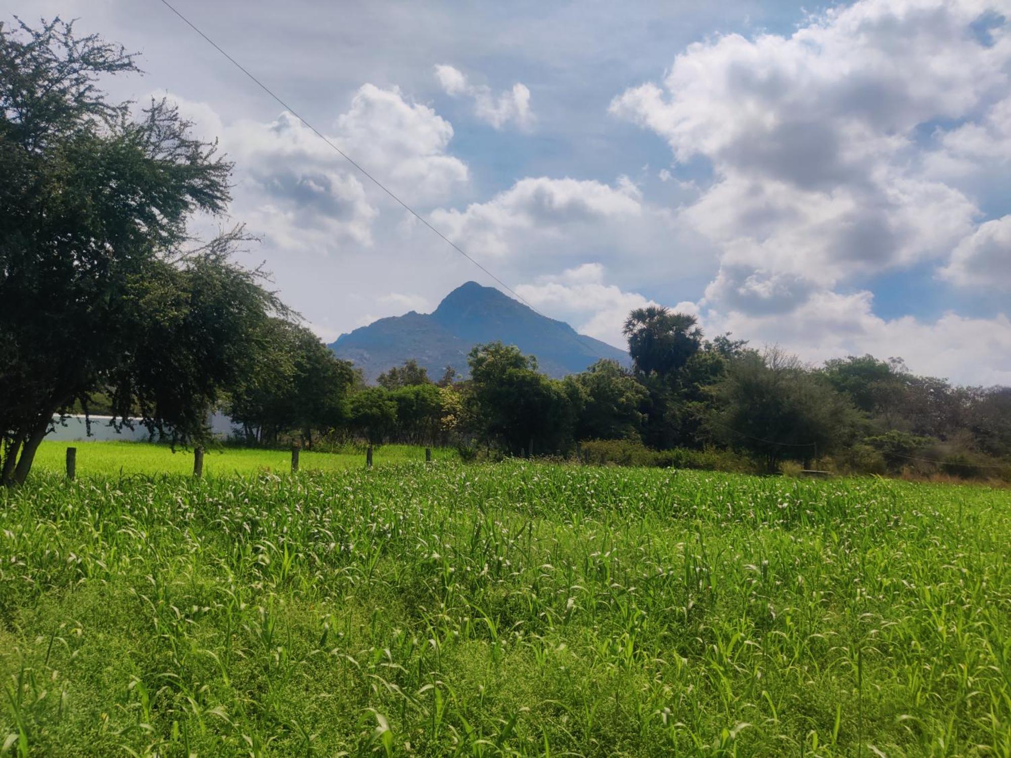 Arunachala Houses Тируваннамалай Экстерьер фото